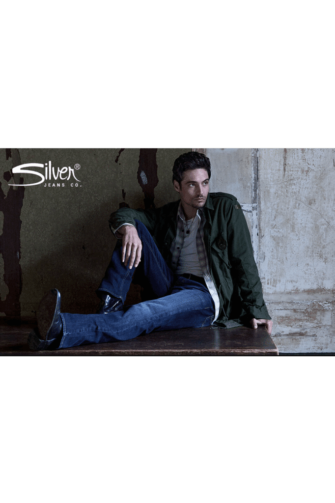 Dillards-SILVER-image-Cropped